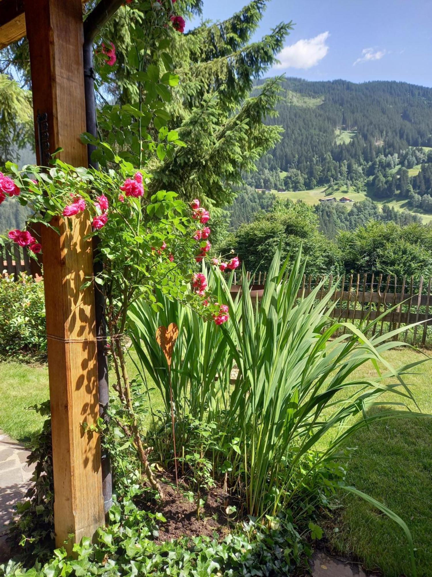 Aparthaus Am Walde & Appartement Sonnenseite Bartholomäberg Esterno foto